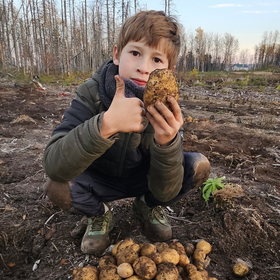 DomaineEnForet_Activite_Ete-min
