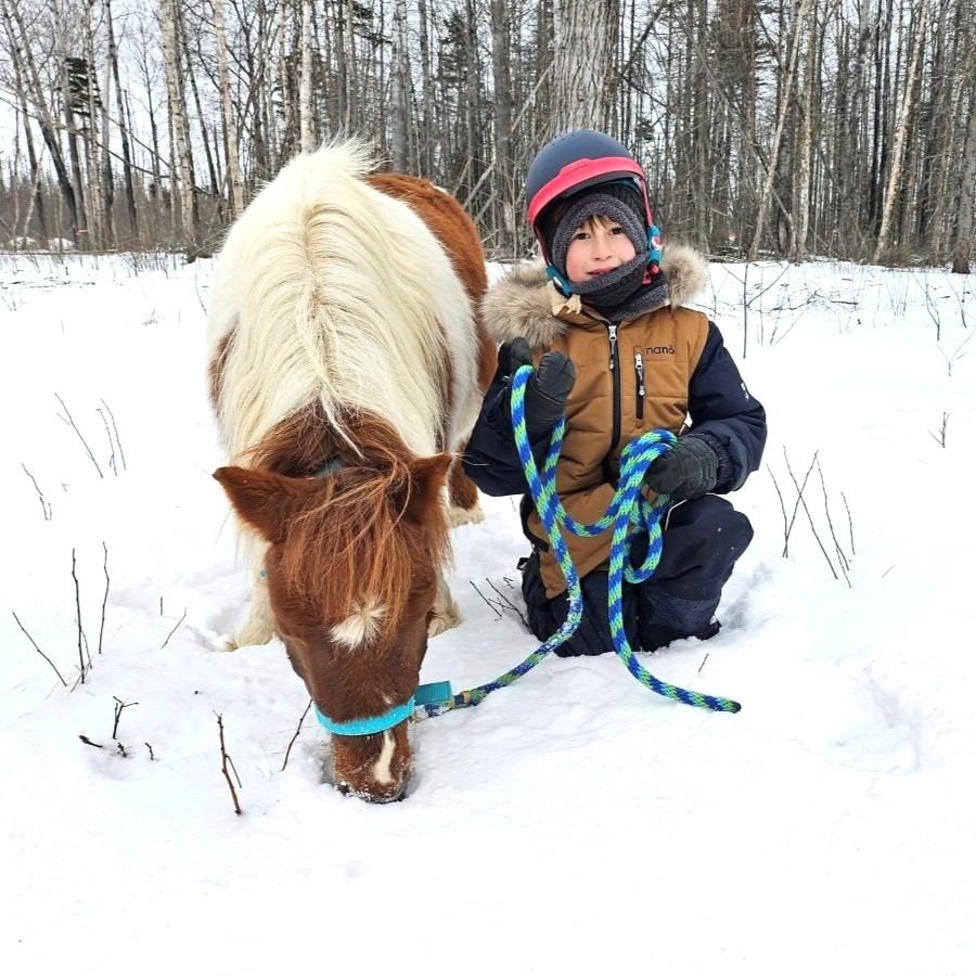 chevaux2 900x900